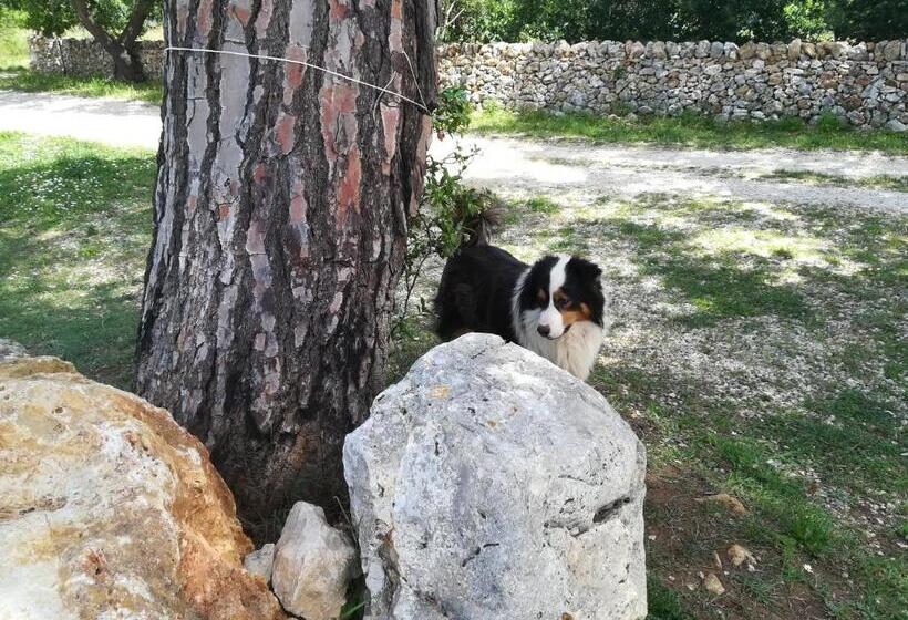 בית מלון כפרי Tenuta Tedone Consolini