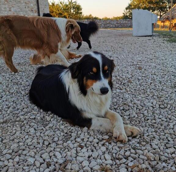 בית מלון כפרי Tenuta Tedone Consolini