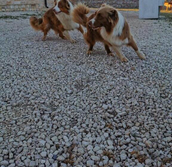 בית מלון כפרי Tenuta Tedone Consolini