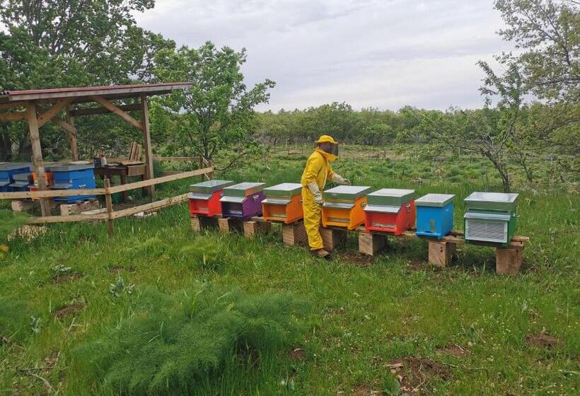 בית מלון כפרי Tenuta Tedone Consolini