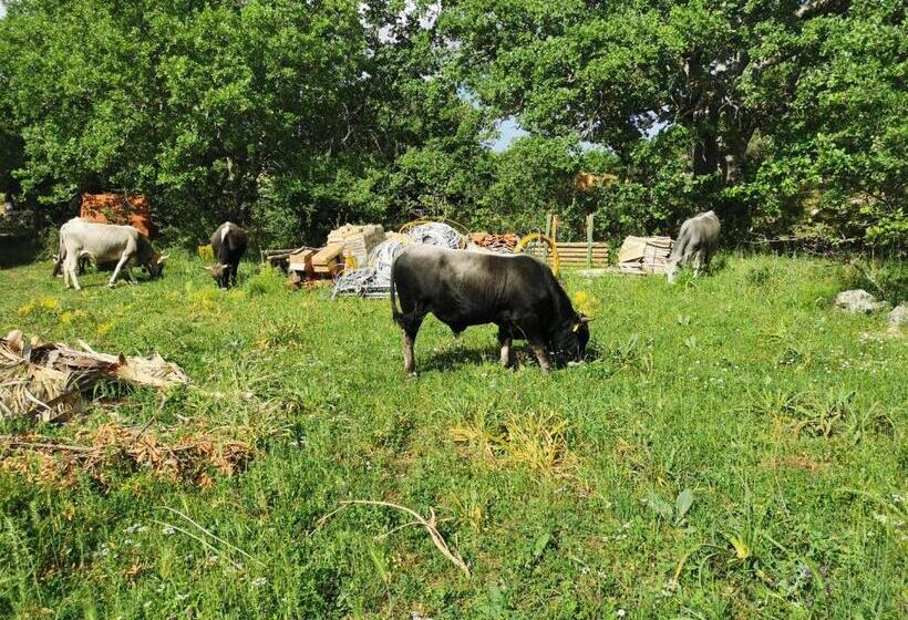 בית מלון כפרי Tenuta Tedone Consolini