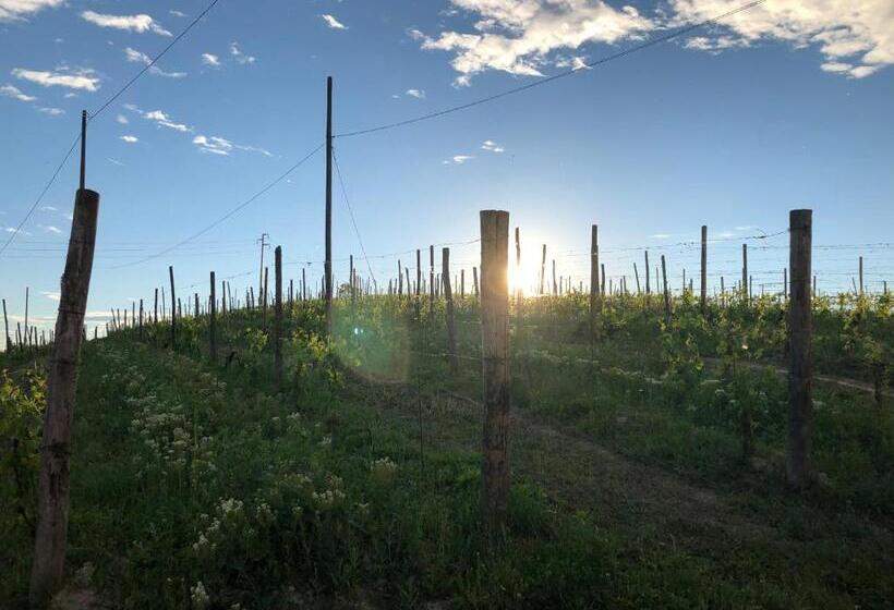 교외 호텔 Villa Vigneto