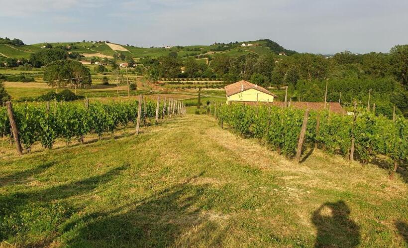 교외 호텔 Villa Vigneto