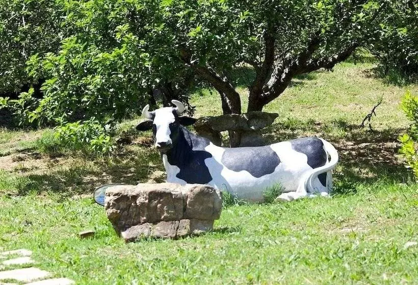 Maaseutuhotelli Villino Il Corbezzolo A Casa Conti Di Sotto