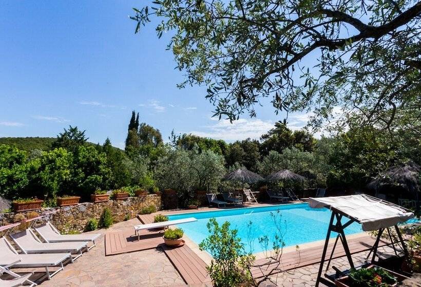 Сельский отель Villino Il Corbezzolo A Casa Conti Di Sotto