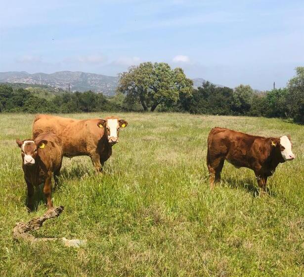 Agriturismo La Rocca Manna