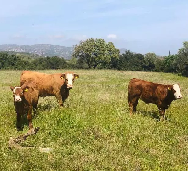 Agriturismo La Rocca Manna