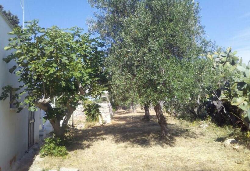 Bed and Breakfast Casa Eduardo