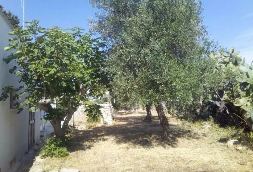 تختخواب و صبحانه Casa Eduardo