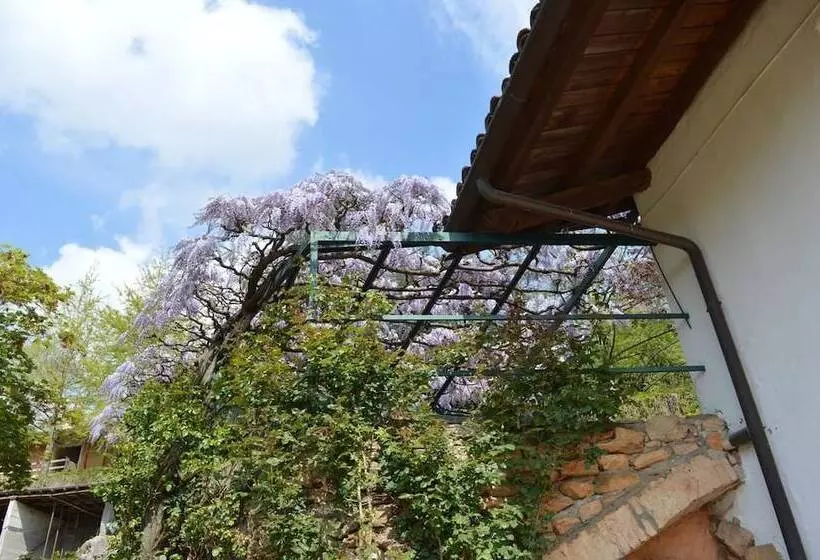 Aamiaismajoitus (B&B) L Uovo E La Faina