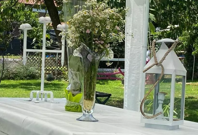 Aamiaismajoitus (B&B) Oca Carolina