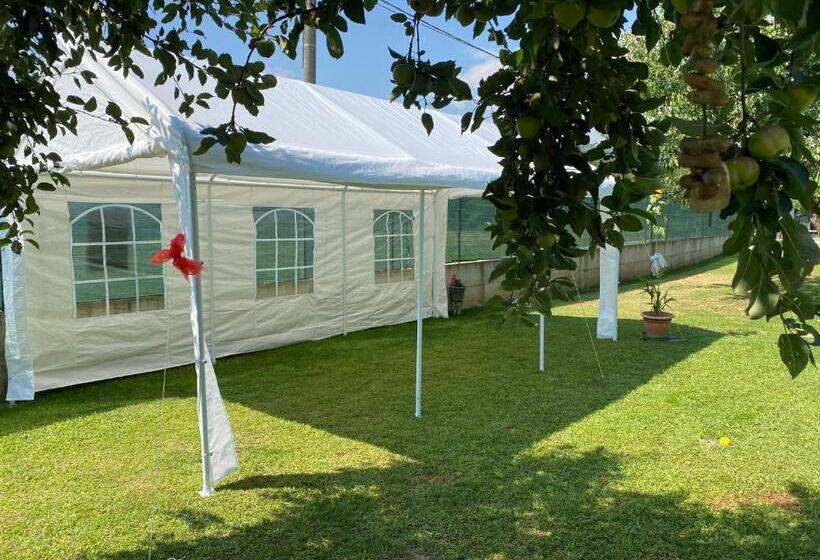 צימר Oca Carolina