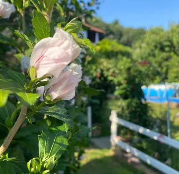 Aamiaismajoitus (B&B) Oca Carolina