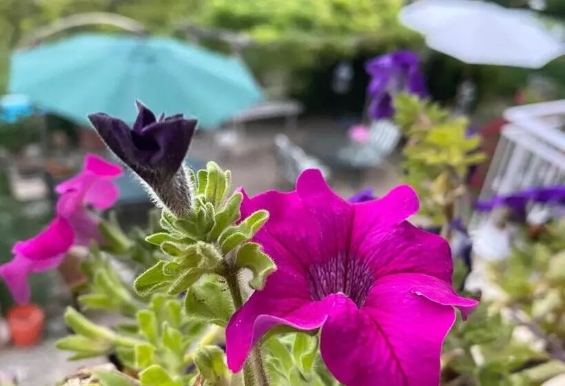 Aamiaismajoitus (B&B) Oca Carolina