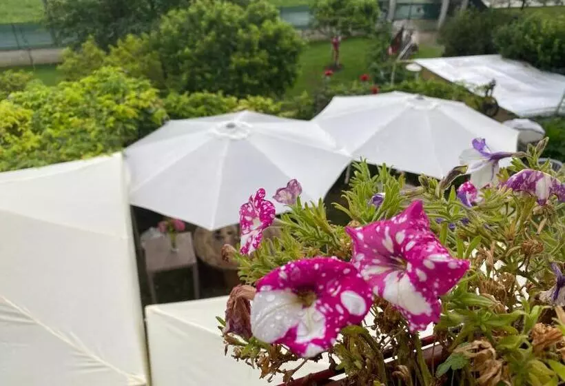 Aamiaismajoitus (B&B) Oca Carolina