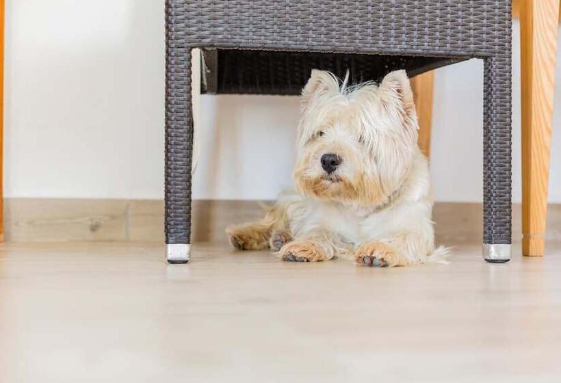 민박 Villa Brigida