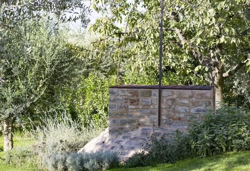 Corteviva Boutique B&b