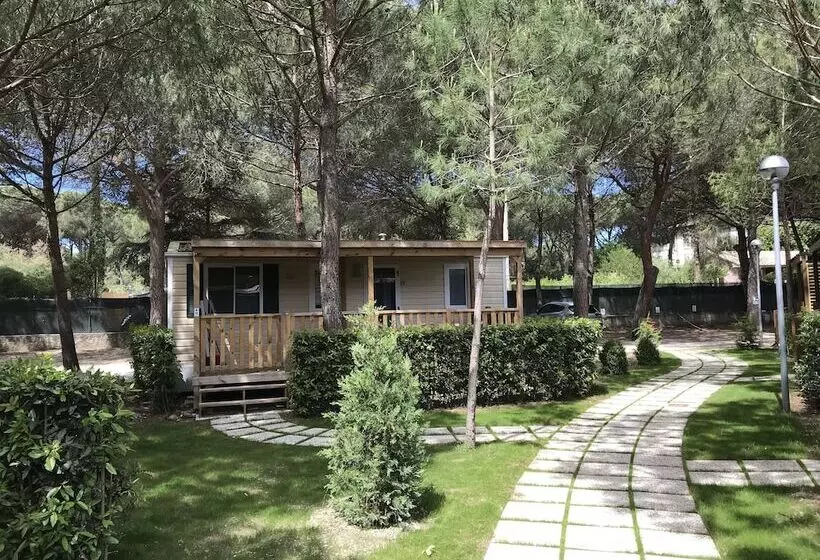 Hotelli Campeggio Del Forte