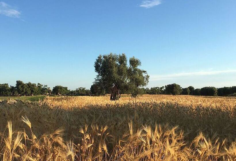 فندق ريفى Boutique Hotel Masseria Sottomasi