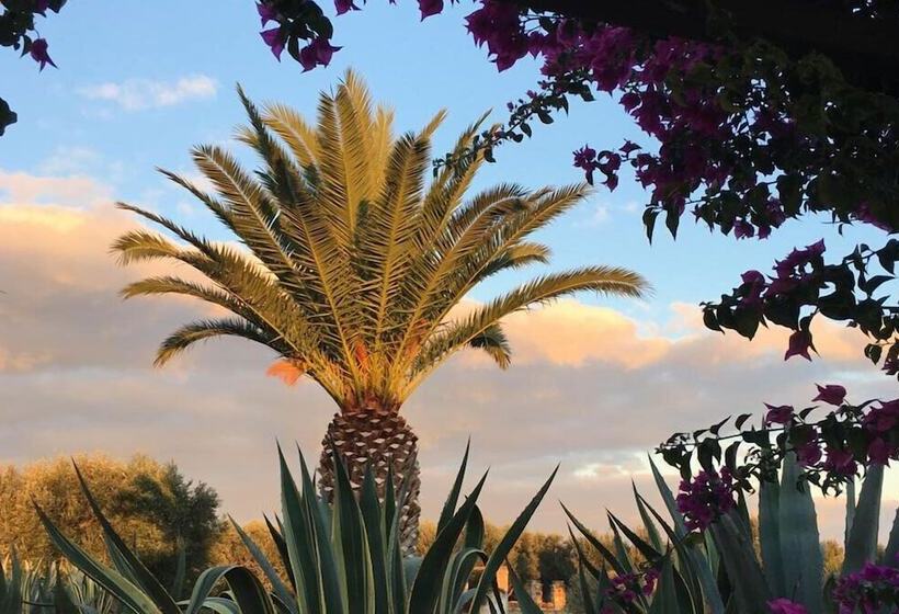 فندق ريفى Boutique Hotel Masseria Sottomasi