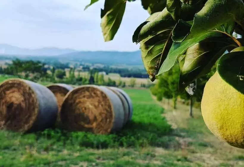 Maaseutuhotelli La Fonte Di Montebuono