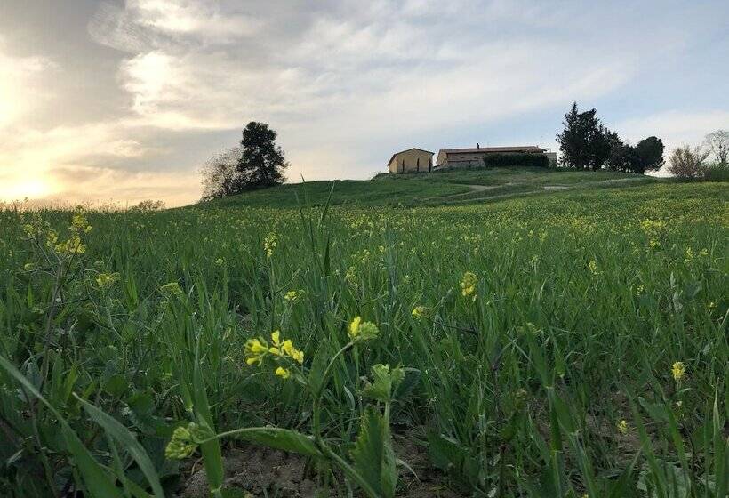 乡村酒店  Poggio Alla Pietra 26