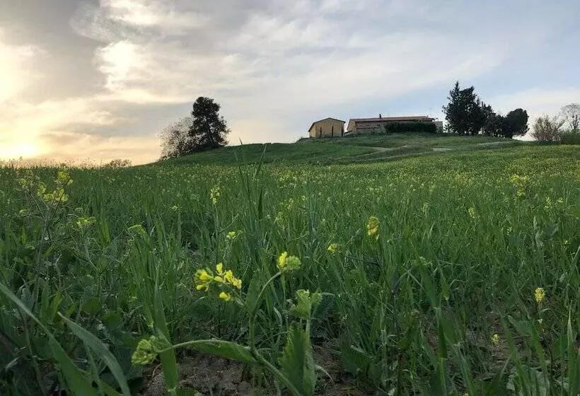 田舎風ホテル Poggio Alla Pietra 26