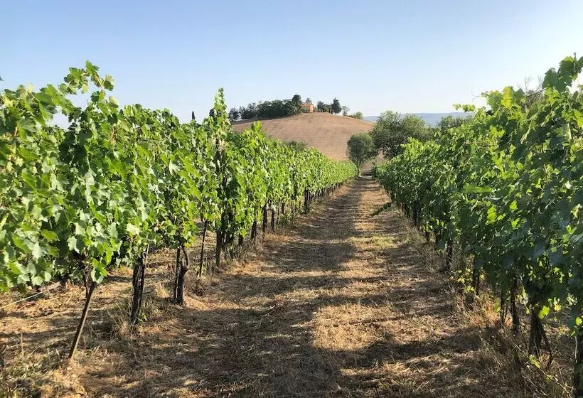 田舎風ホテル Poggio Alla Pietra 26