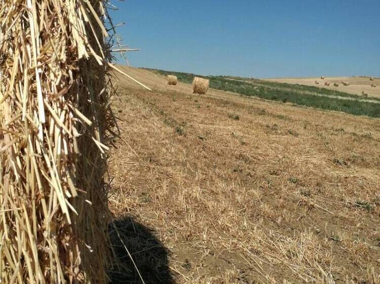 乡村酒店  Poggio Alla Pietra 26