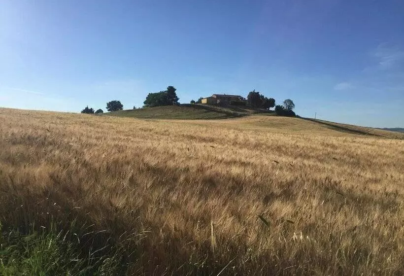 田舎風ホテル Poggio Alla Pietra 26