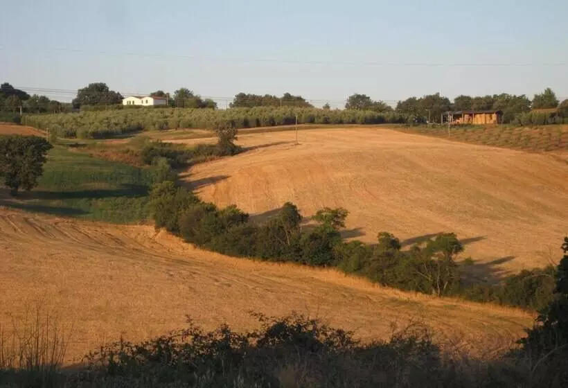 田舎風ホテル Poggio Alla Pietra 26