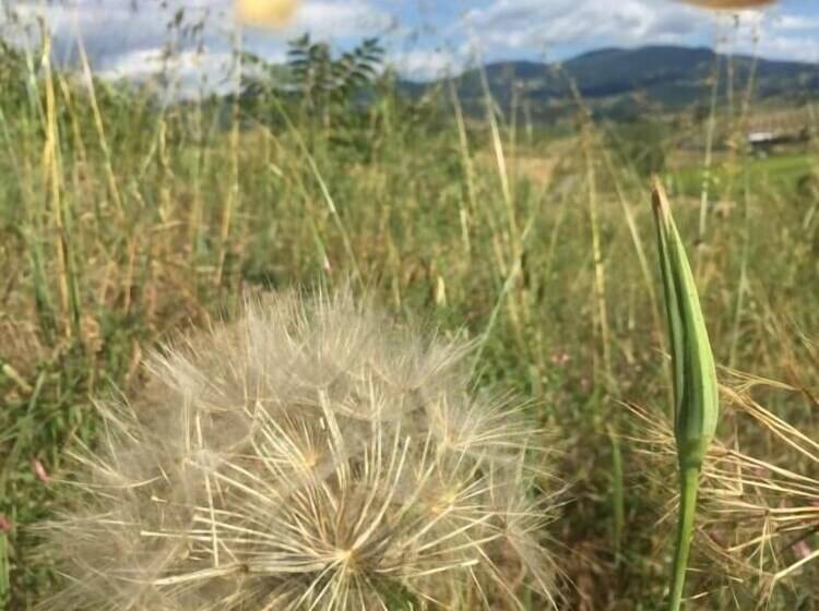 乡村酒店  Poggio Alla Pietra 26