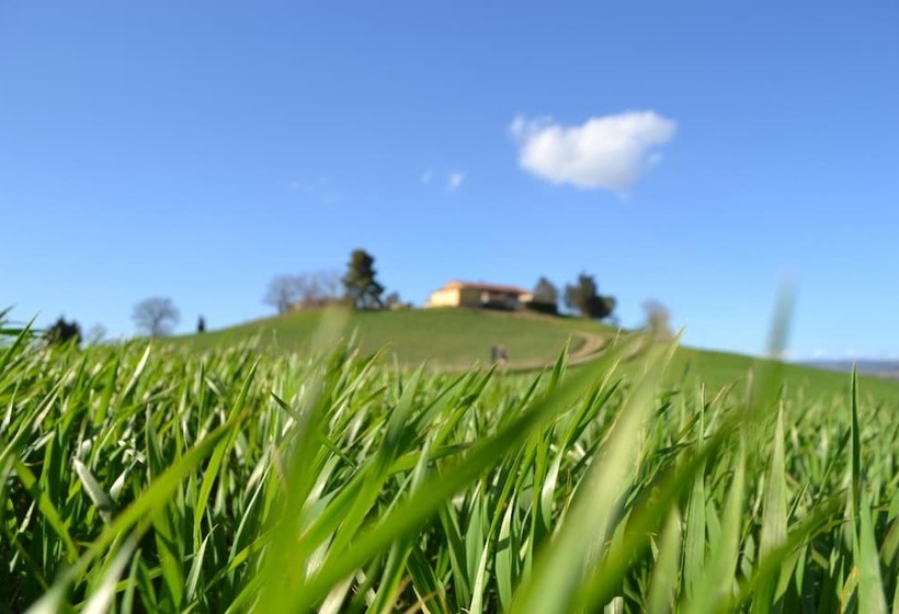 乡村酒店  Poggio Alla Pietra 26