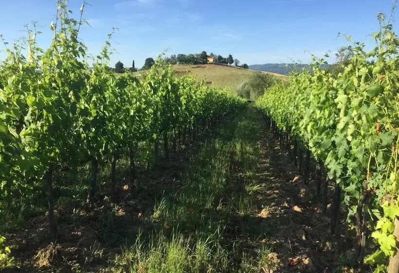 田舎風ホテル Poggio Alla Pietra 26