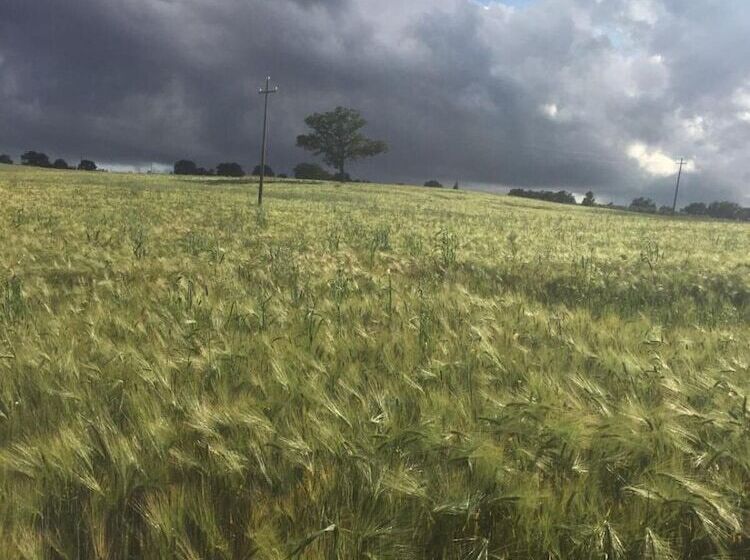 乡村酒店  Poggio Alla Pietra 26