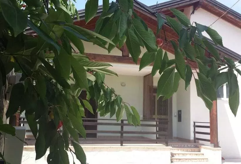 Majatalo B&b Della Ciociaria