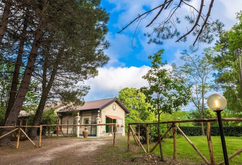 膳宿费 Casale Trainaro