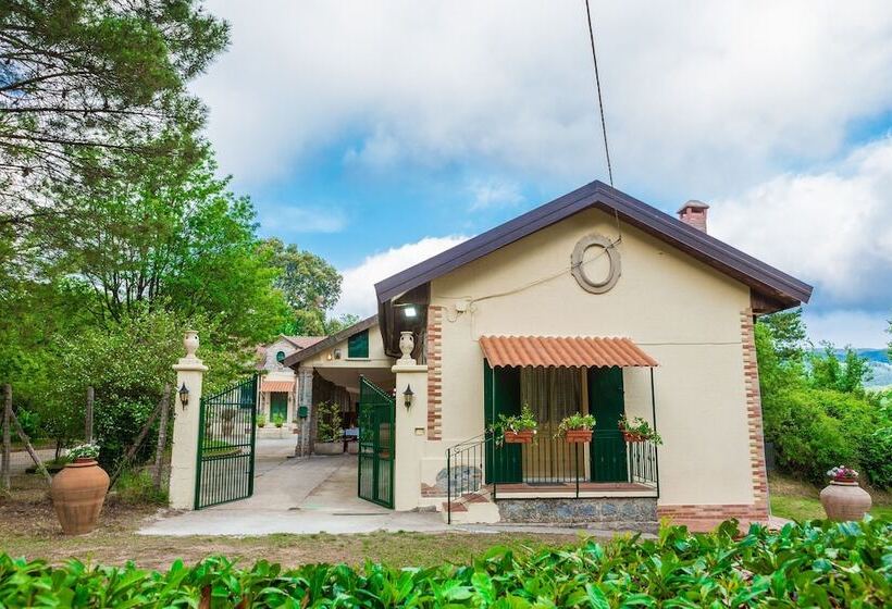 膳宿费 Casale Trainaro