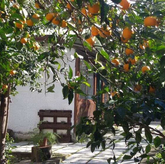 بنسيون Villino L Aranceto Sorrentino