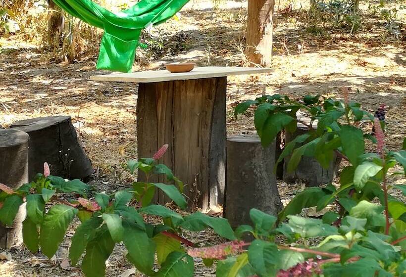 بنسيون Villino L Aranceto Sorrentino