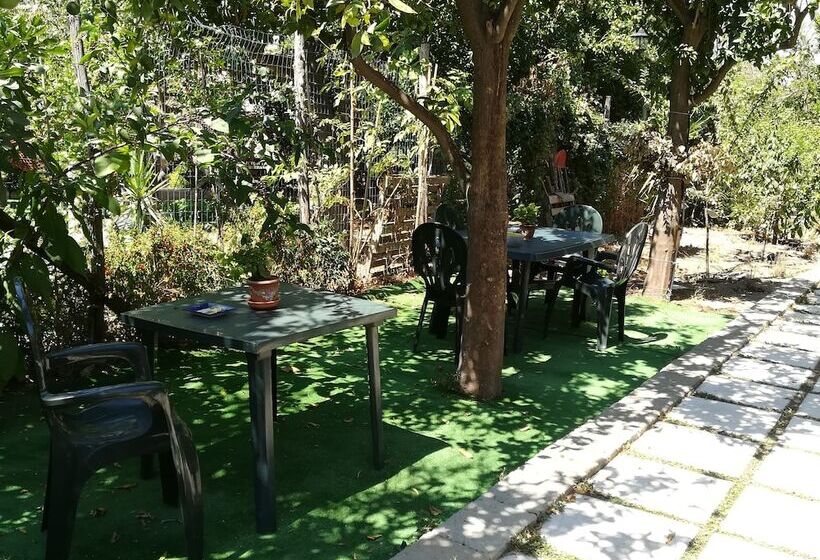 بنسيون Villino L Aranceto Sorrentino