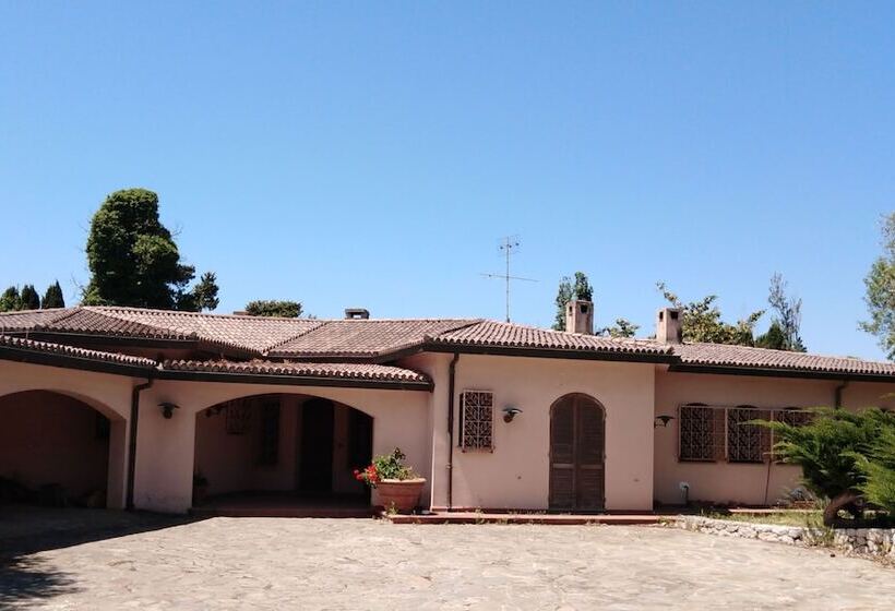 Town & Country Guest House B&b