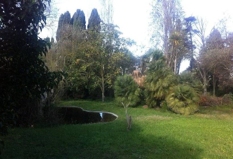 Town & Country Guest House B&b