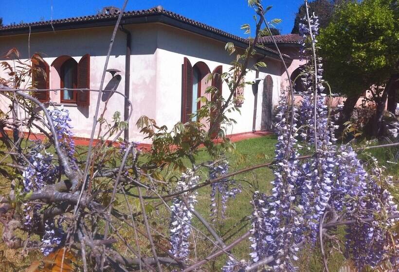 Town & Country Guest House B&b