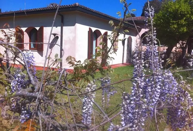 Town & Country Guest House B&b