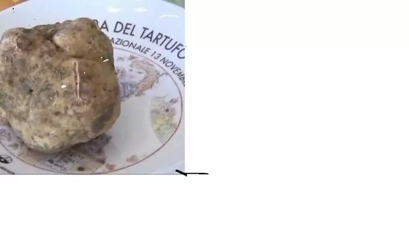 B&b Il Casale Di Andrea & Simona