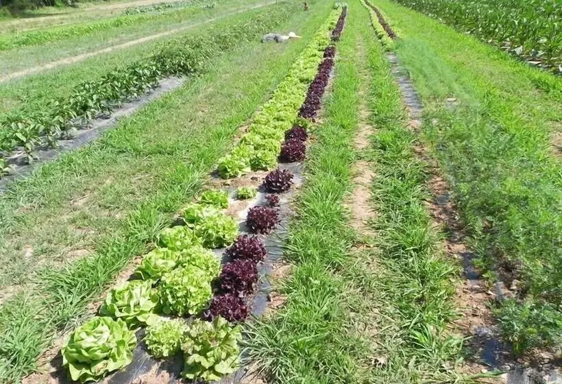 تختخواب و صبحانه Agriturismo Cascina Poscallone