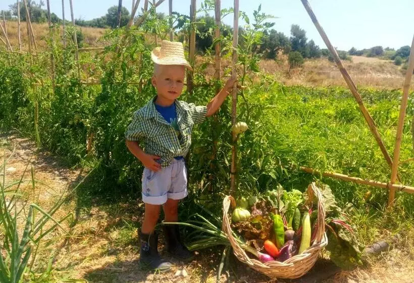 Aamiaismajoitus (B&B) Fodor