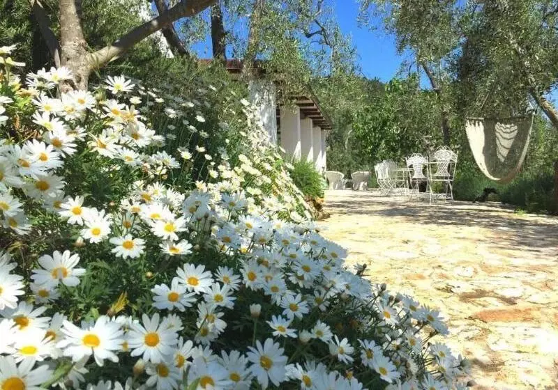 Aamiaismajoitus (B&B) Shanti