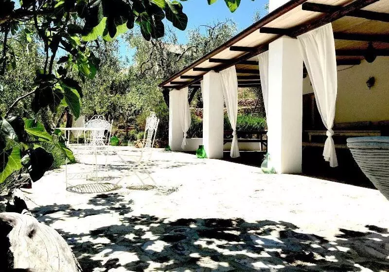 Aamiaismajoitus (B&B) Shanti